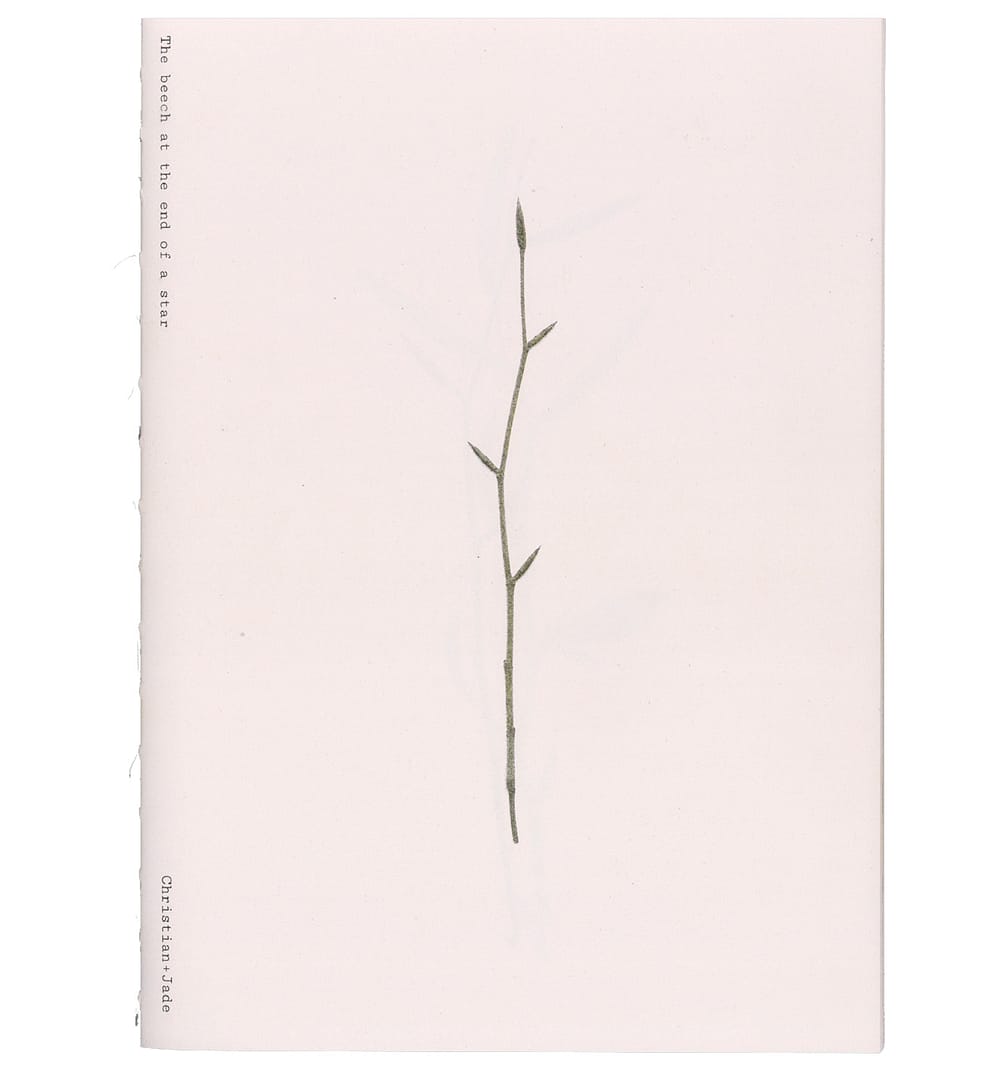 The beech at the end of a star