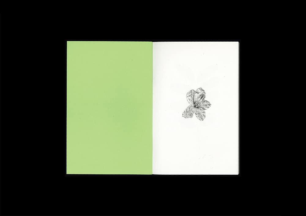 <del>Plant Scans</del>