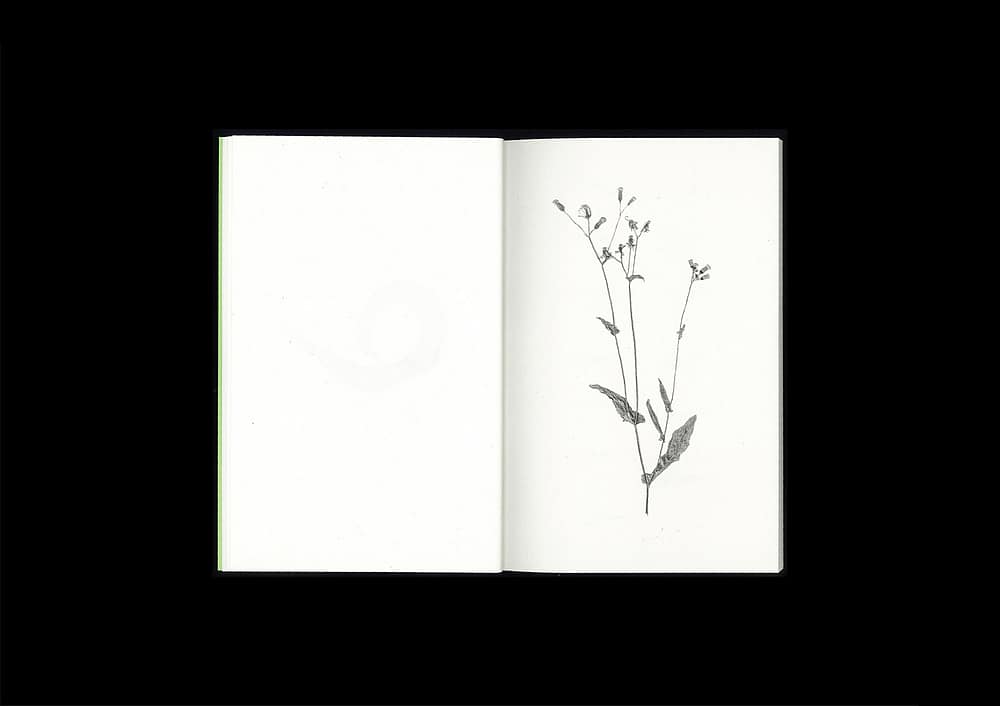 <del>Plant Scans</del>