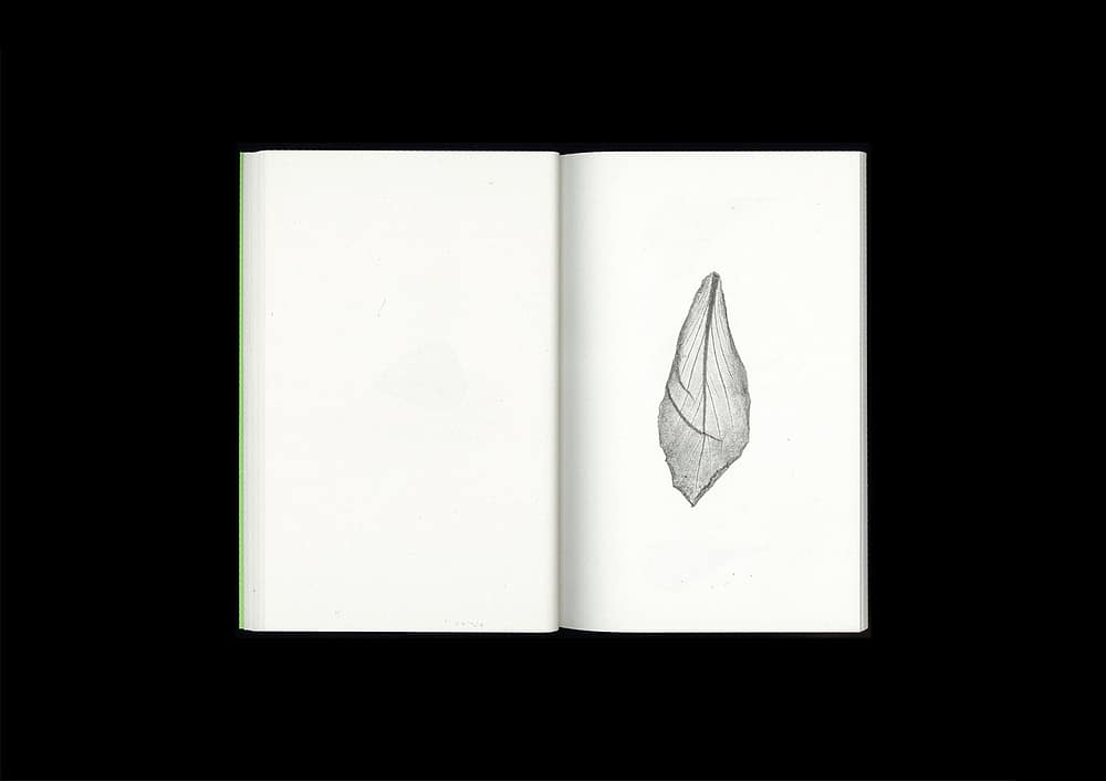 <del>Plant Scans</del>