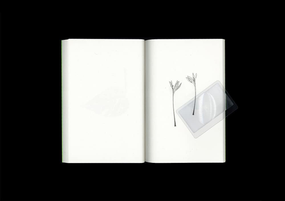 <del>Plant Scans</del>