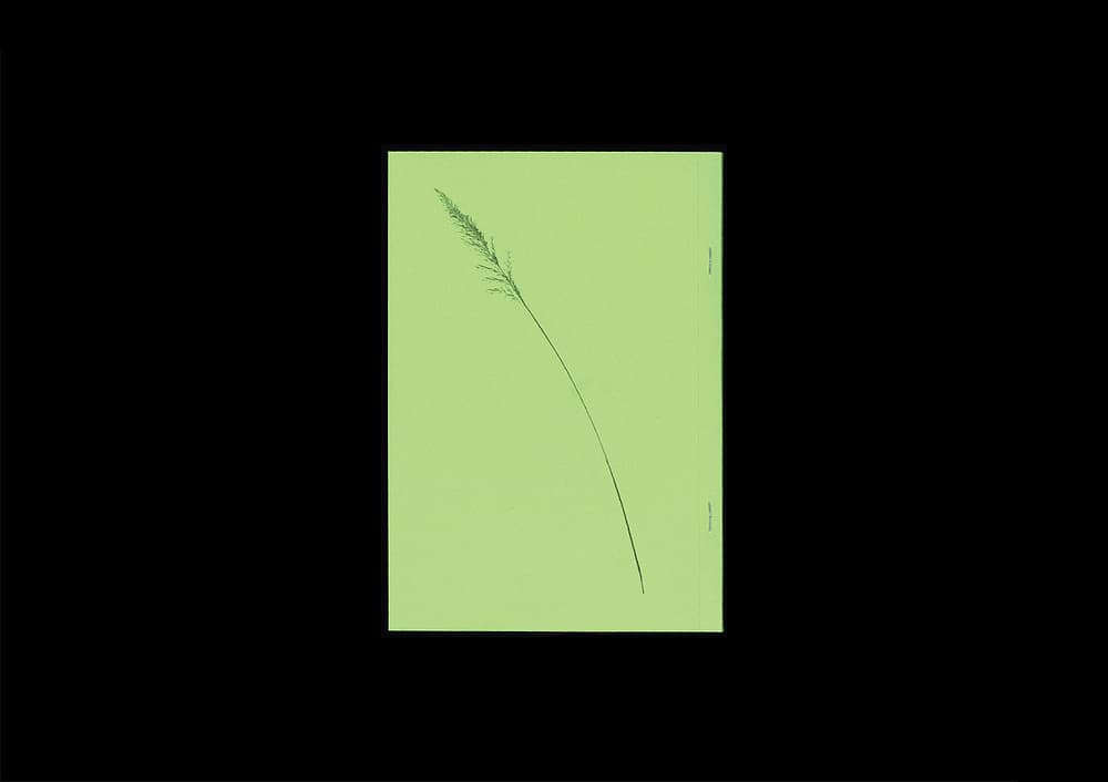 <del>Plant Scans</del>