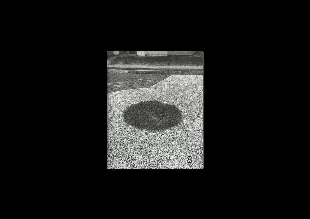 Forming Cityscapes #8: Plants