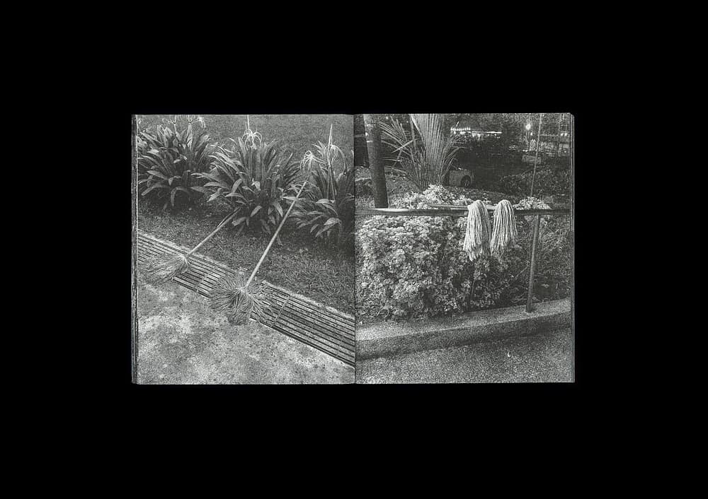 Forming Cityscapes #8: Plants