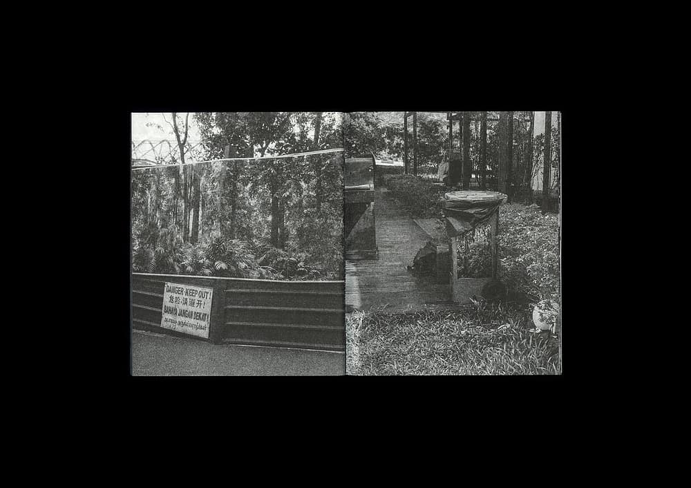 Forming Cityscapes #8: Plants