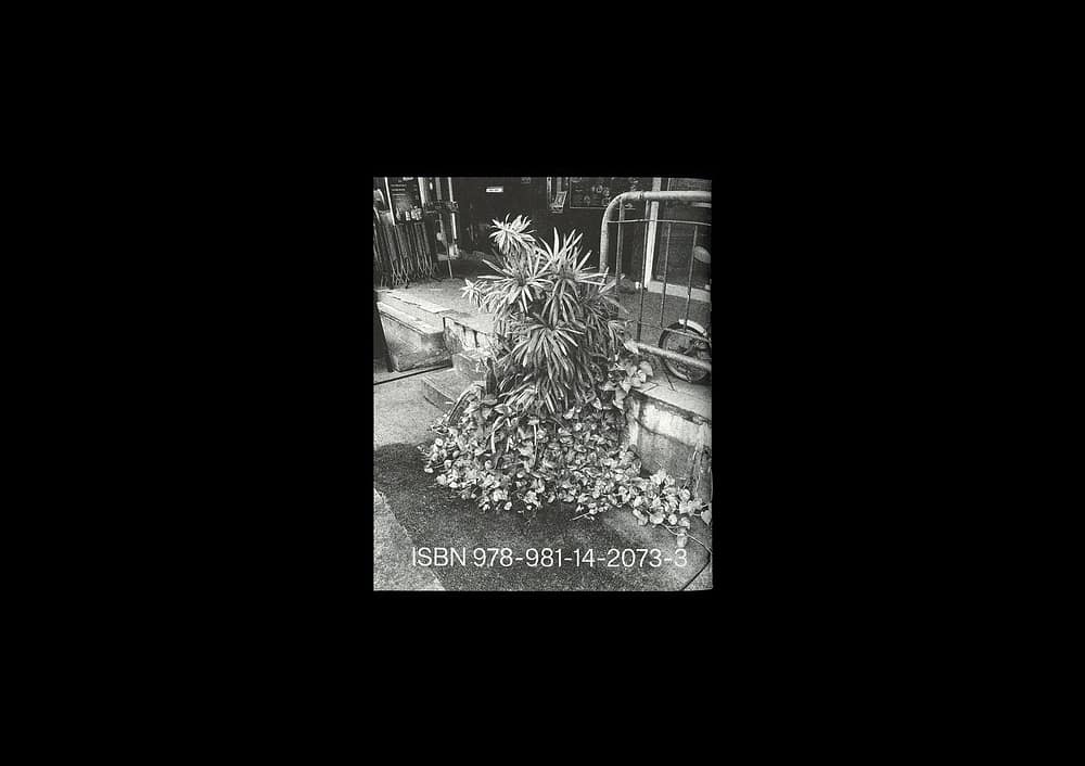 Forming Cityscapes #8: Plants