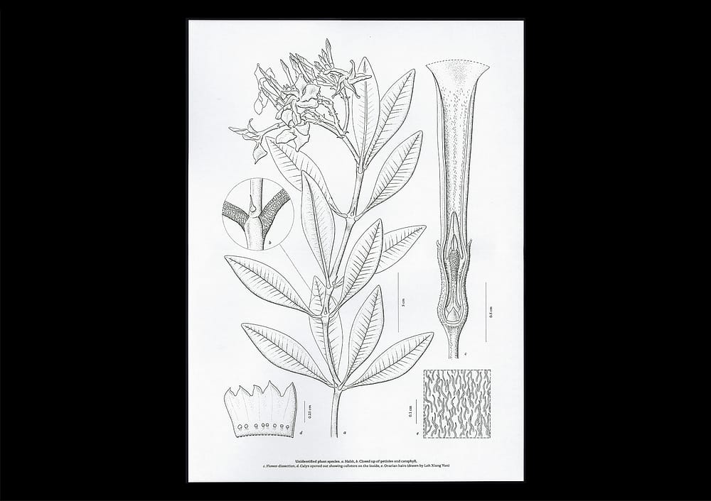 for portfolio img Microscopic Images
