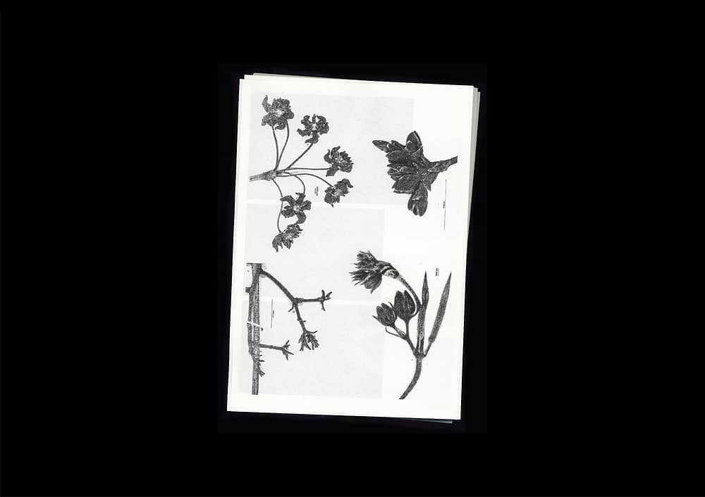 for portfolio img Microscopic Images