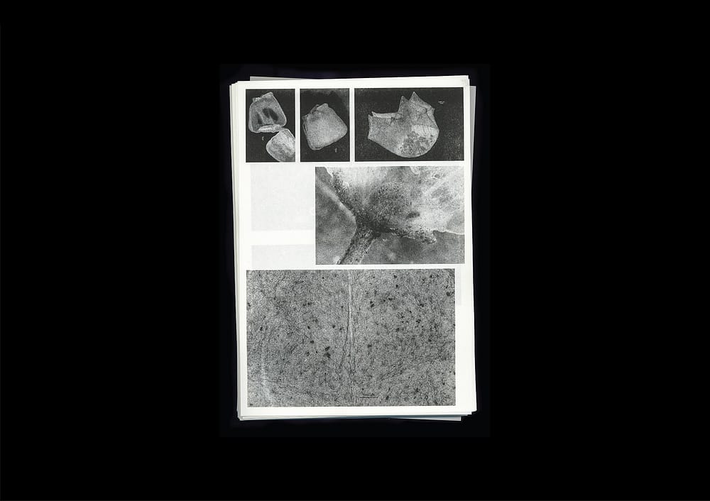 for portfolio img Microscopic Images