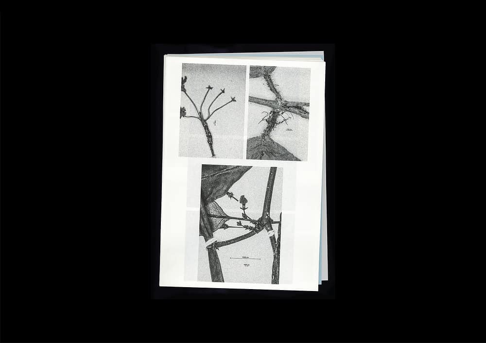 for portfolio img Microscopic Images