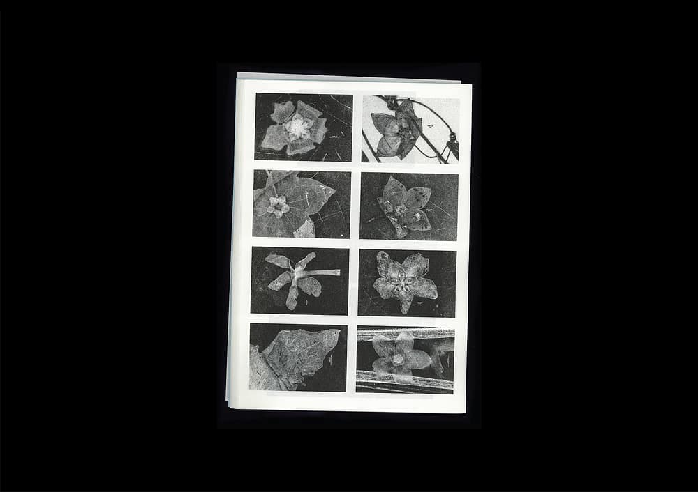 for portfolio img Microscopic Images