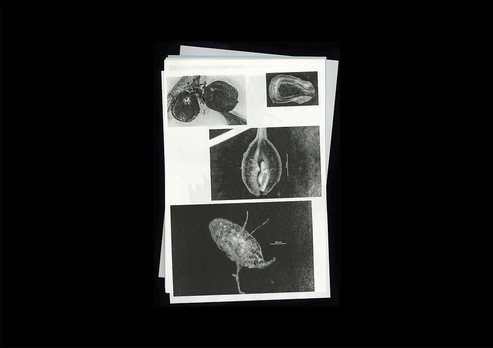 for portfolio img Microscopic Images