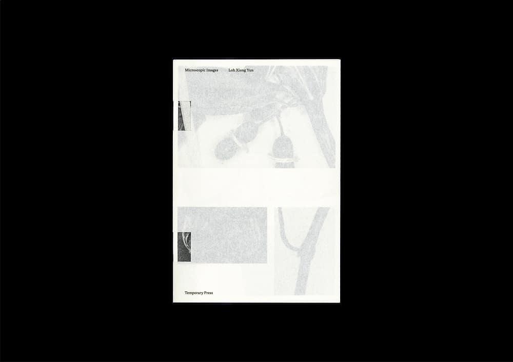 for portfolio img <del>Microscopic Images</del>