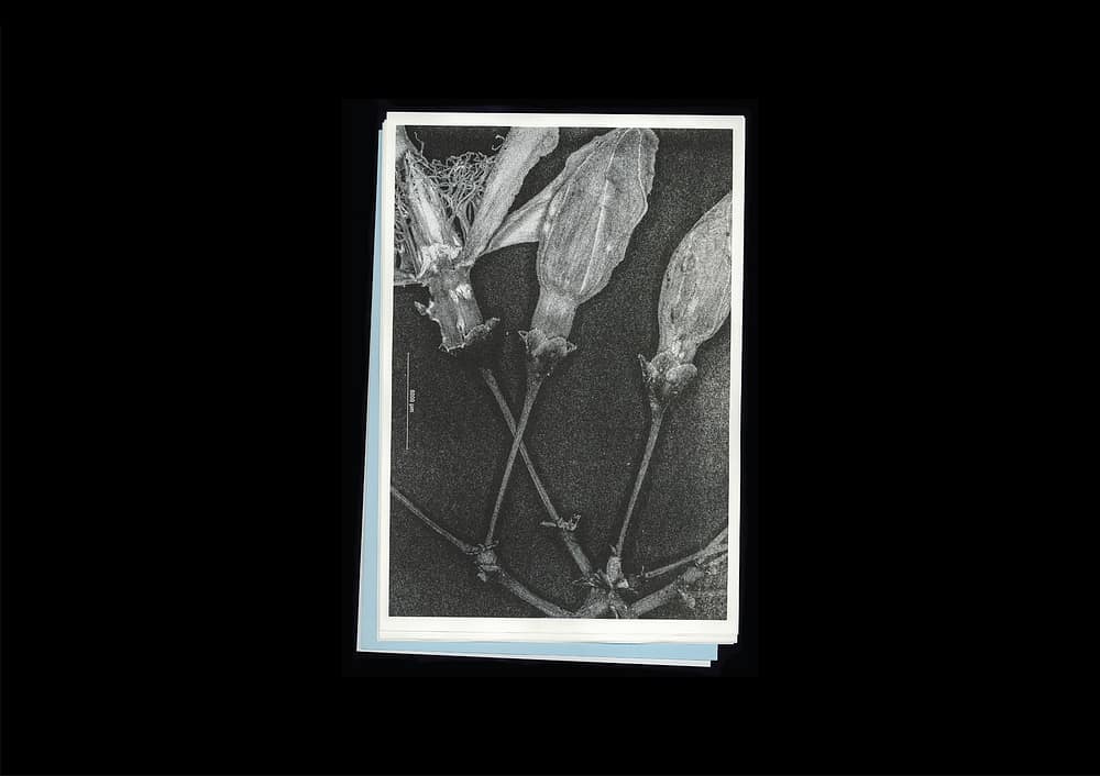 for portfolio img Microscopic Images