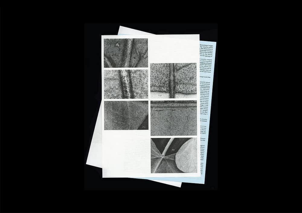 for portfolio img Microscopic Images
