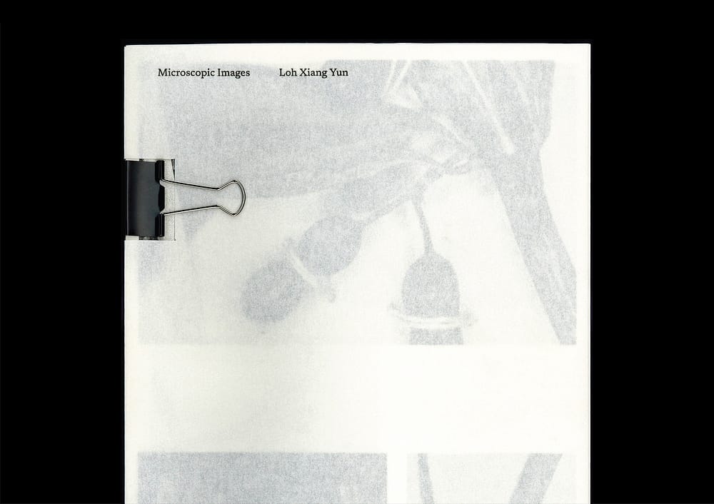 for portfolio img <del>Microscopic Images</del>