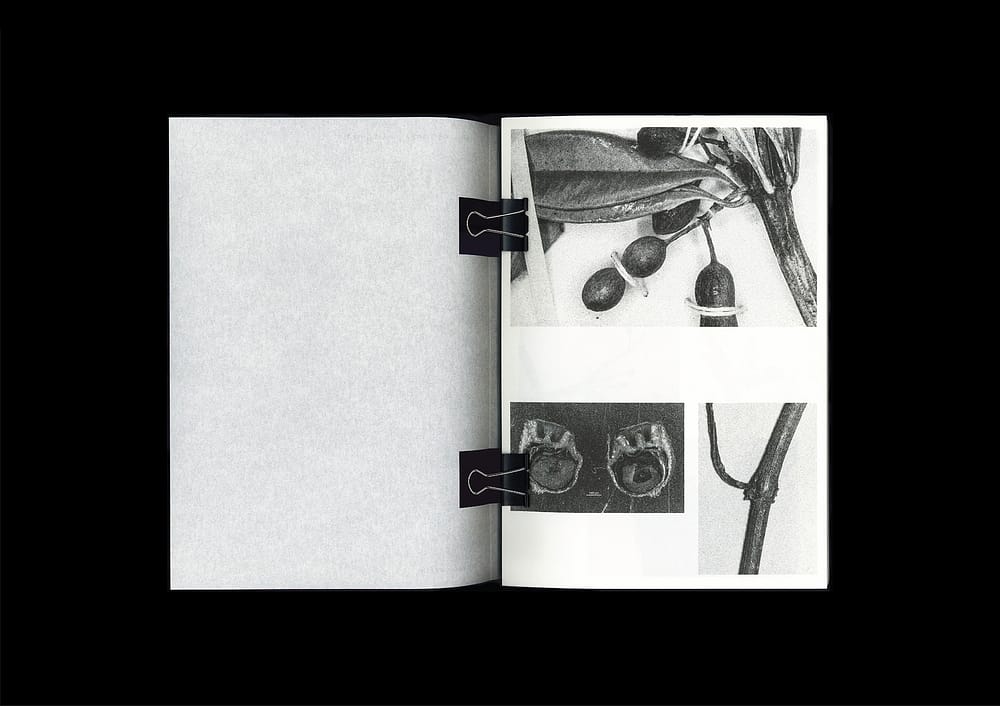 for portfolio img Microscopic Images