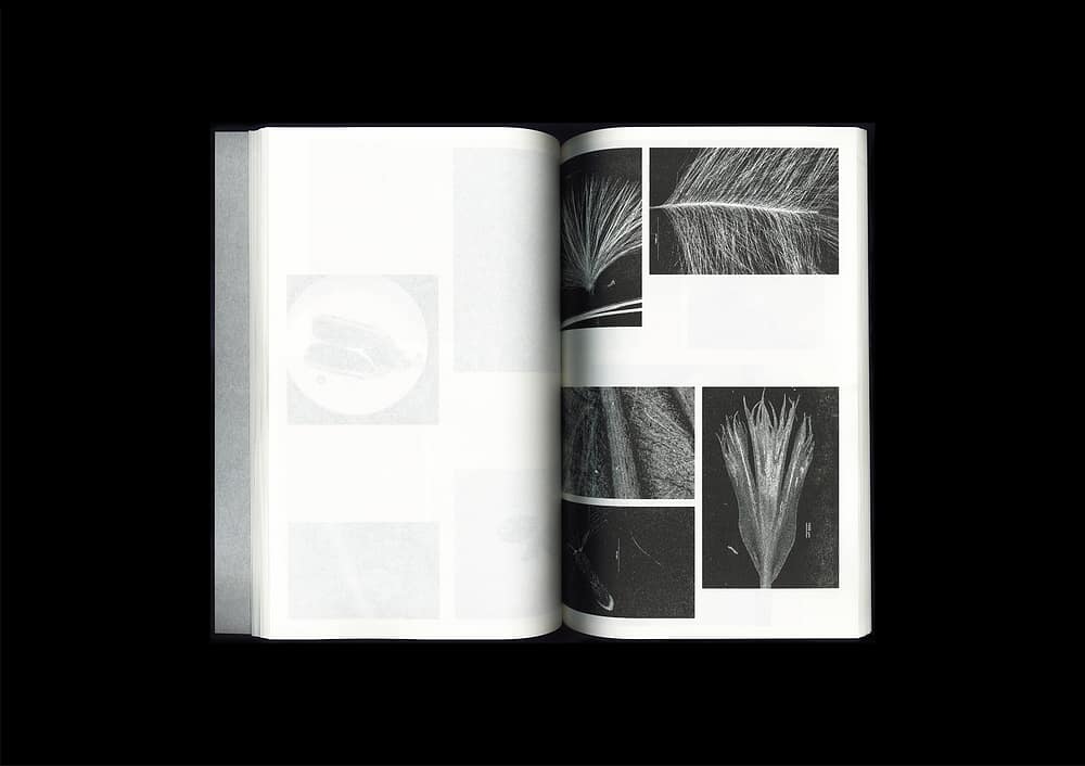 for portfolio img Microscopic Images