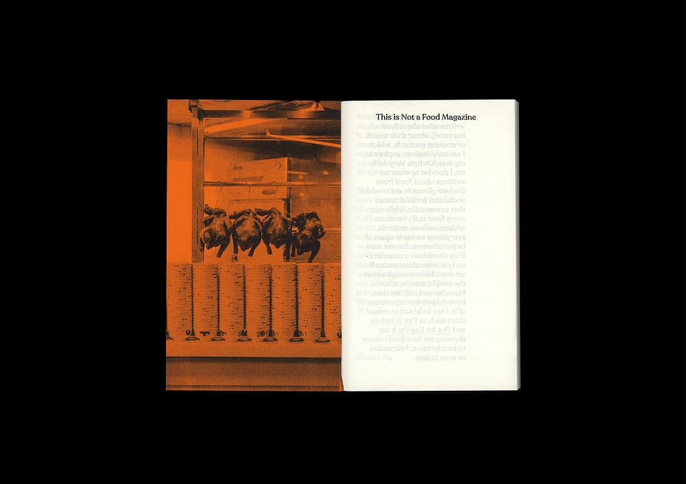 ThisisNotFoodMag2ndEd 1 This is Not a Food Magazine (3rd print)