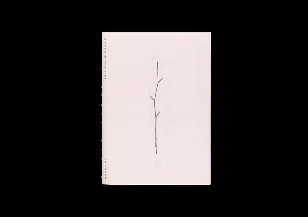 The beech at the end of a star