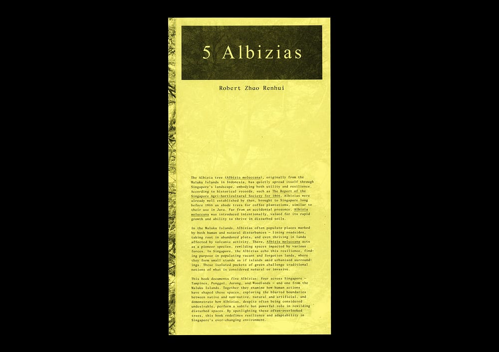 5AlbiziaBook1 5 Albizias