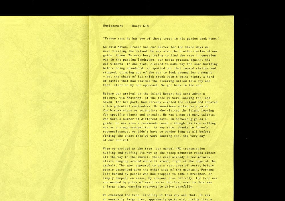 5AlbiziaBook6 5 Albizias