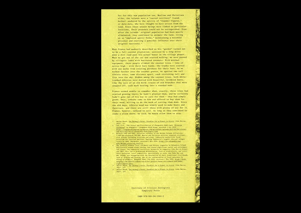 5AlbiziaBook7 5 Albizias