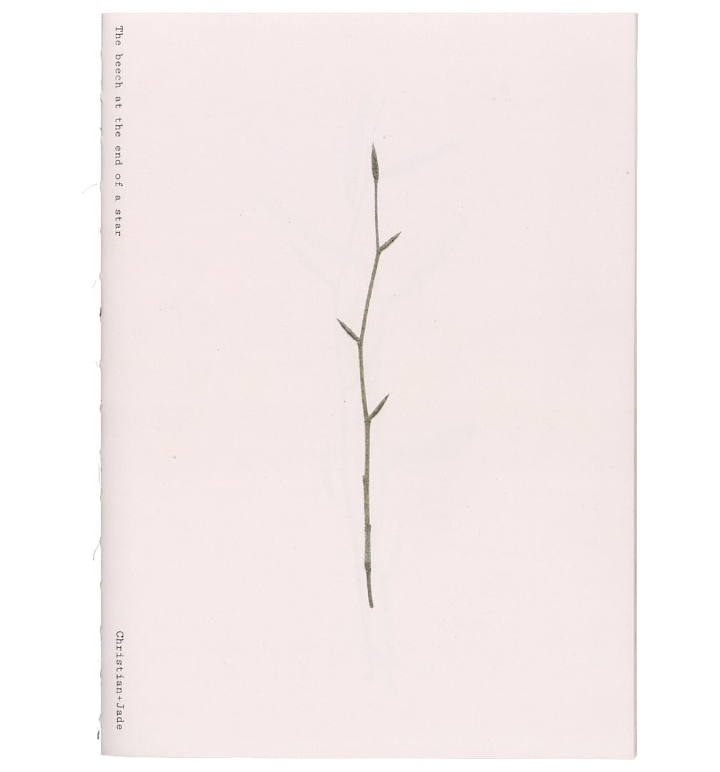 Beechbook_Cover The beech at the end of a star